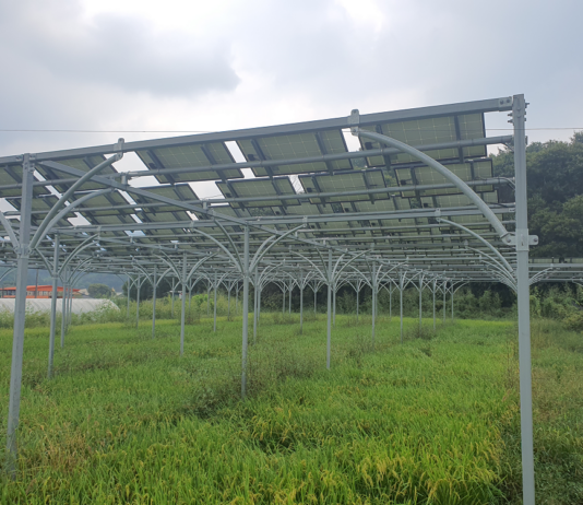 농지에서는 생산물로 수익, 지붕에서는 태양광 발전으로 수익