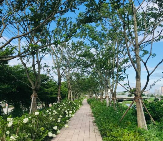 평택 바람길 숲 등 도내 6개 도시숲 ‘아름다운 도시숲 50선’에 선정