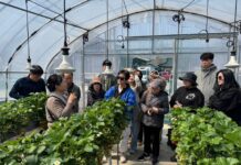 경기 미래농업 인재 양성! 제16기 경기농업대학 교육생 모집