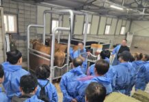 경기도, 가축인공수정사 대상 안전장구 지원. 기술교육 추진