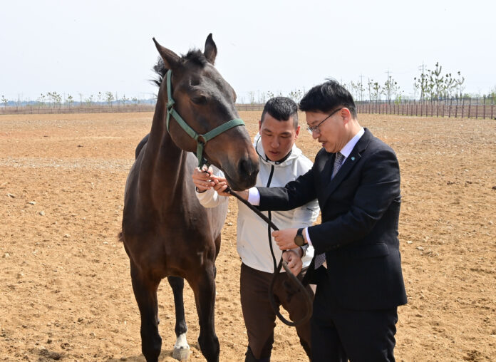 사진1(3) (1)